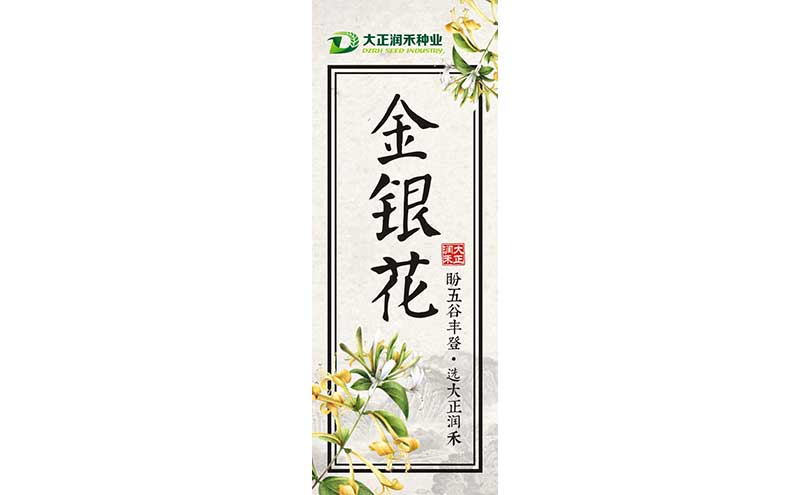 新乡包装设计